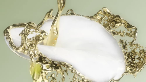 Floral Studies — Flowers CGI by MUZZIN+SAMIRI
