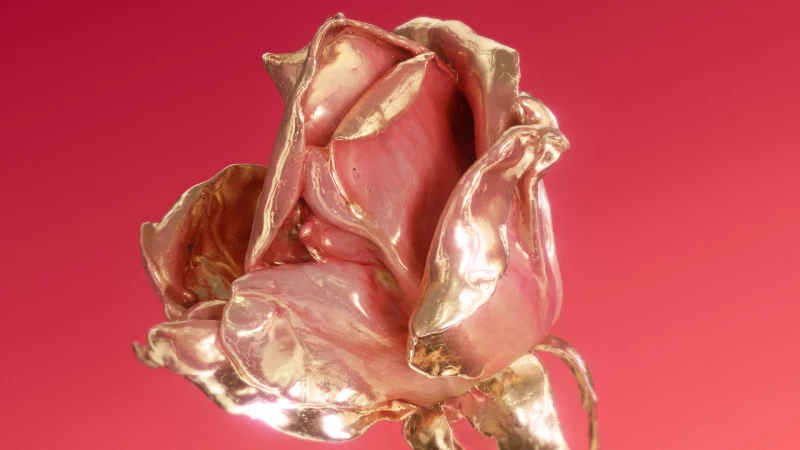 Cornucopia — Brand Mood Film CGI by MUZZIN+SAMIRI