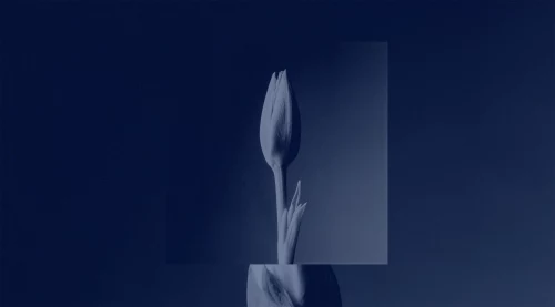 Ore — Art CGI by MUZZIN+SAMIRI