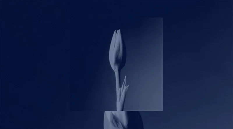 Ore — Art CGI by MUZZIN+SAMIRI
