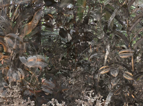 Our Skin Is Glass — Flowers CGI by MUZZIN+SAMIRI